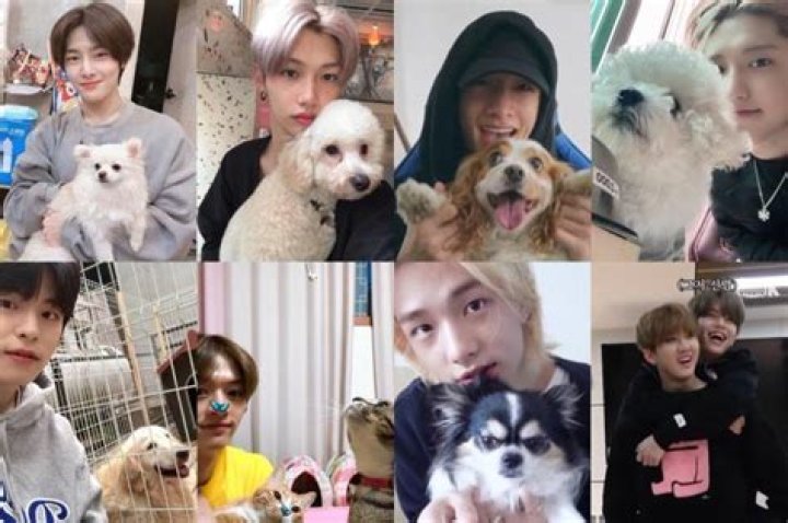 Changbin Pets