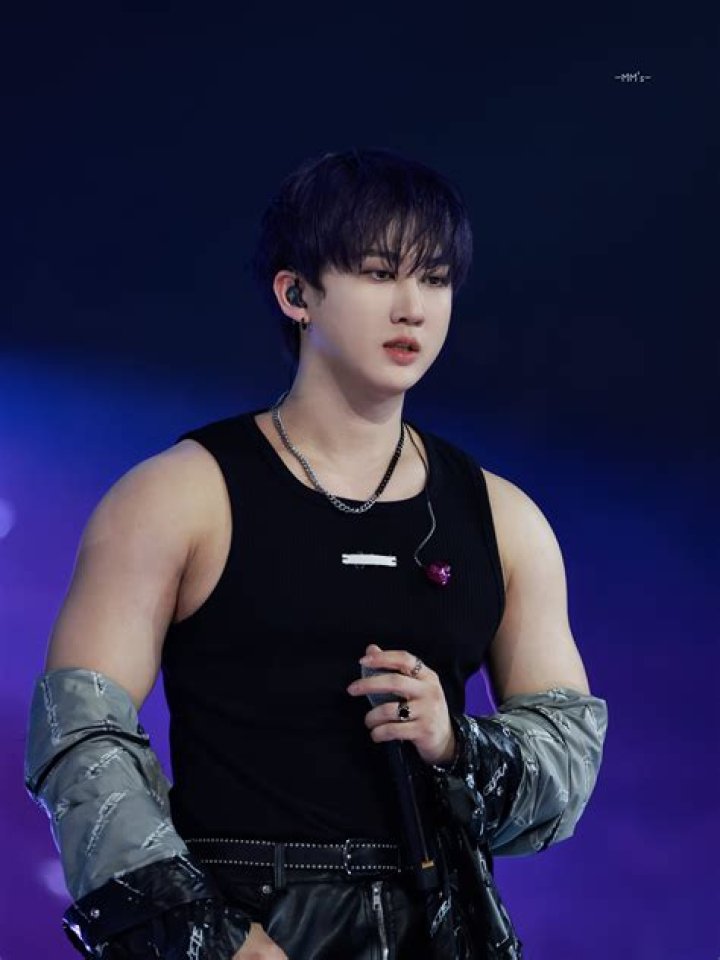 Changbin's pet No Pets (Changbin)
