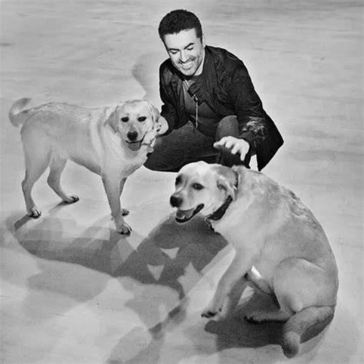 George Michael Pets