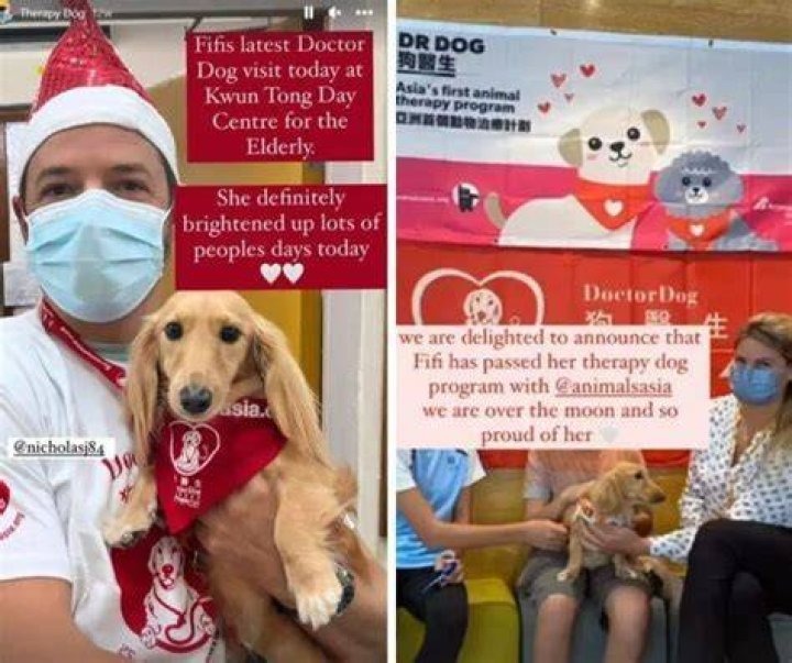Interview with Fifi Little Darling the Jet-Set Dachshund
