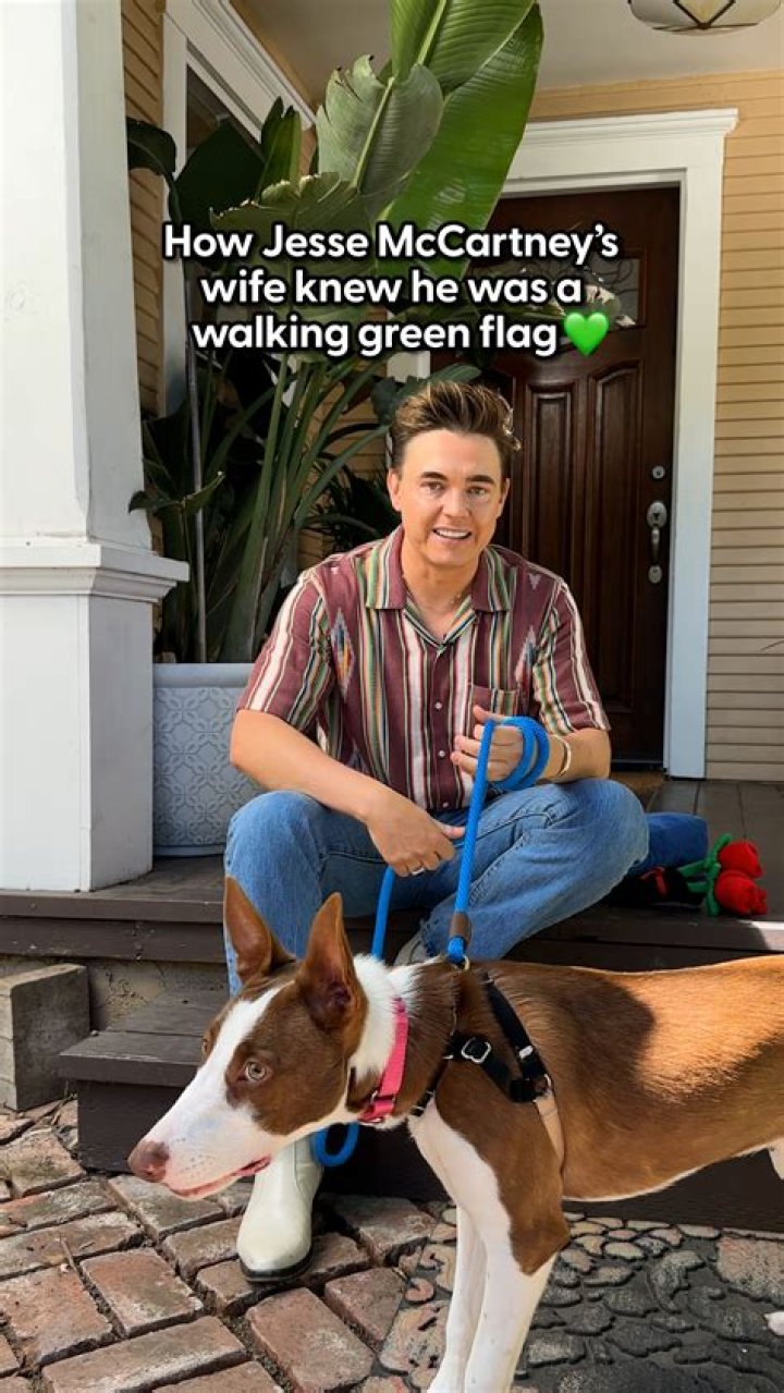 Jesse Mccartney Pets