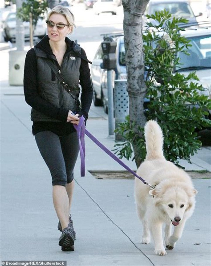 Renee Zellweger Pets