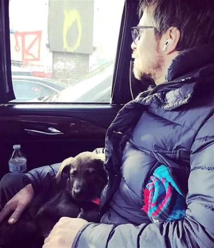 Sam Rockwell Pets