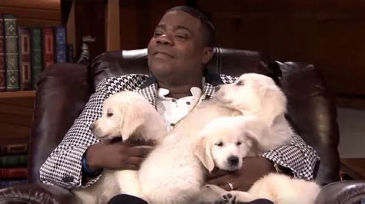 Tracy Morgan Pets