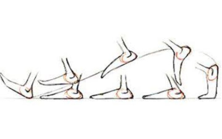 Untitled design (10)