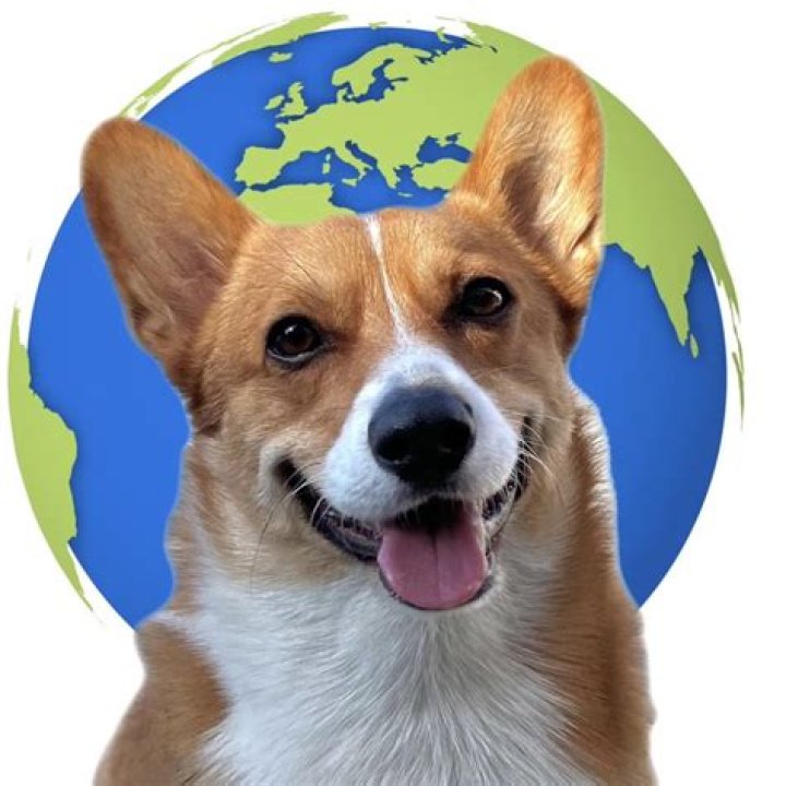 @worldwide_winston